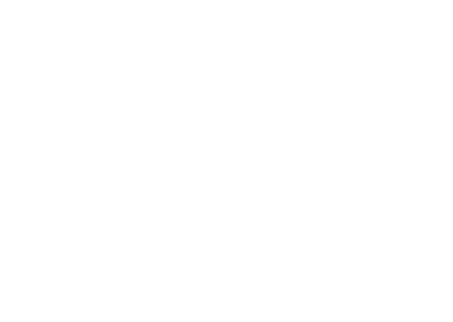 RevScaling Agency